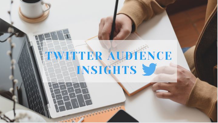 Twitter Audience Insights(An expert guide)
